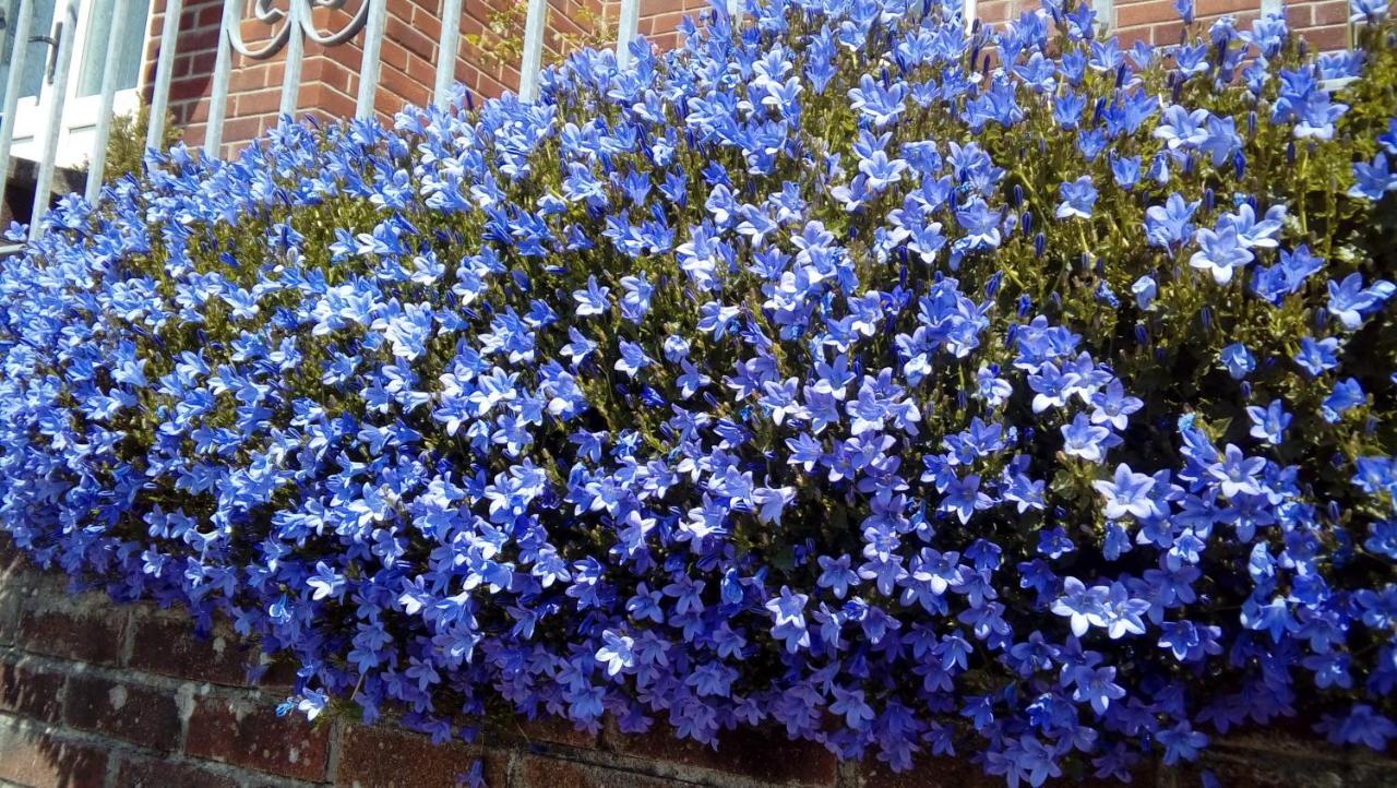Lavender House Hotel Bridgend  Buitenkant foto